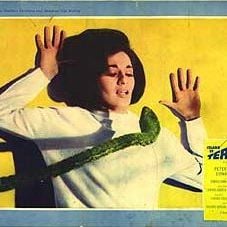 Foto A Ilha do Terror