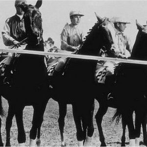 Foto A Mocidade é Assim Mesmo