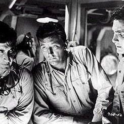 Foto A Raposa do Mar