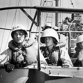 Foto A Raposa do Mar