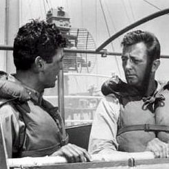 Foto A Raposa do Mar