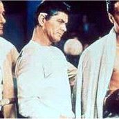 Foto Talhado para Campeão