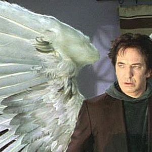 Foto Alan Rickman
