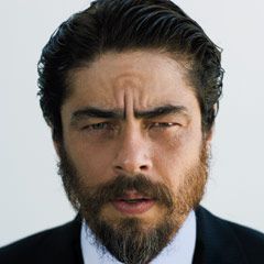 Foto Benicio Del Toro