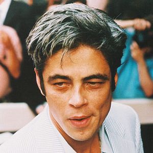 Foto Benicio Del Toro