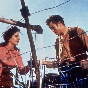 Foto Elizabeth Taylor