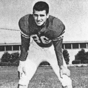 Foto Terrence Malick