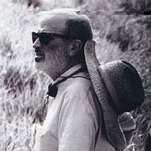 Foto Terrence Malick