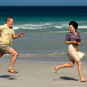 Foto Borboletas Negras