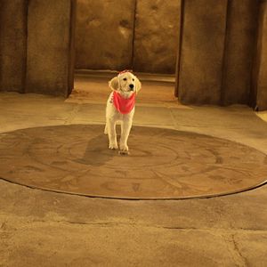 Foto Treasure Buddies: Caça ao Tesouro