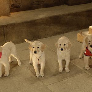 Foto Treasure Buddies: Caça ao Tesouro