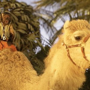 Foto Treasure Buddies: Caça ao Tesouro