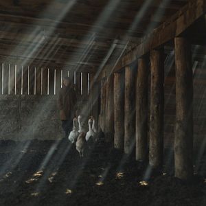 Foto Vivam os Antípodas!