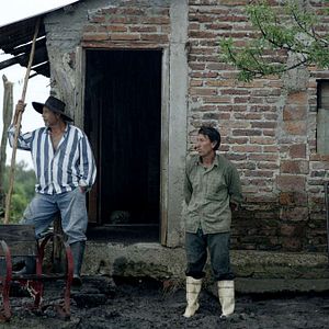 Foto Vivam os Antípodas!