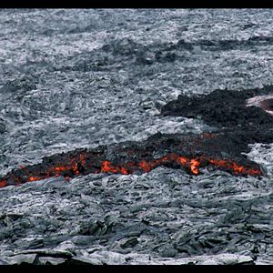 Foto Vivam os Antípodas!