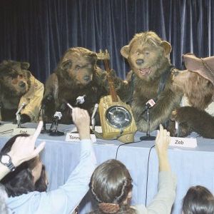 Foto Beary e os Ursos Caipiras