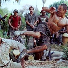 Foto Bem-Vindo à Selva