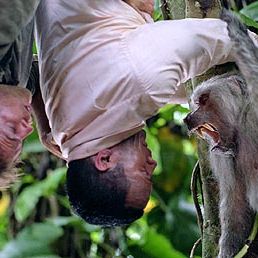 Foto Bem-Vindo à Selva