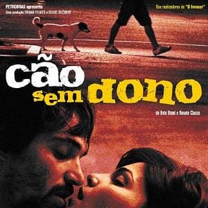 Foto Cão Sem Dono