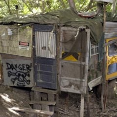 Foto Benji - Um Amigo Especial