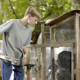 Foto Benji - Um Amigo Especial
