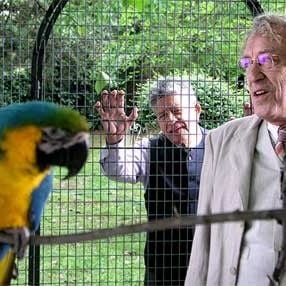 Foto O Amor e a Cidade