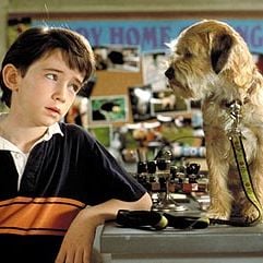 Foto Um Cão do Outro Mundo