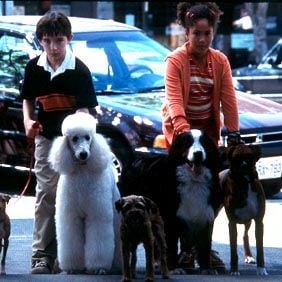 Foto Um Cão do Outro Mundo
