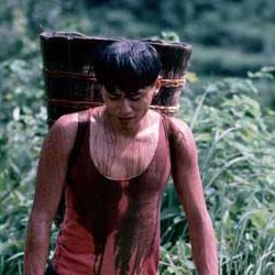 Foto Balzac e a Costureirinha Chinesa