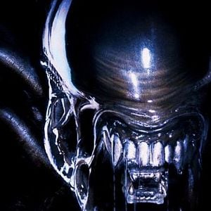 Foto Alien vs. Predador