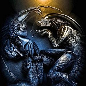 Foto Alien vs. Predador