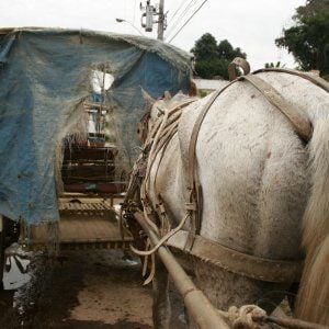 Foto Atos dos Homens