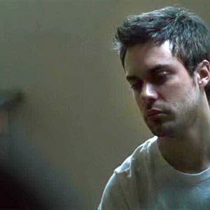 Foto O Búfalo da Noite