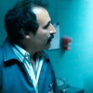 Foto O Búfalo da Noite