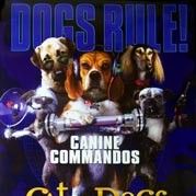 Foto Como Cães e Gatos