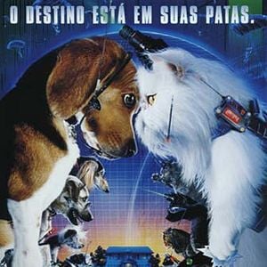 Foto Como Cães e Gatos