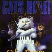 Foto Como Cães e Gatos