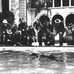 Foto Crepúsculo dos Deuses