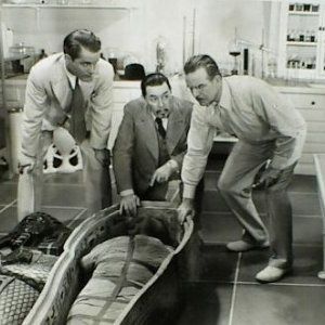 Foto Charlie Chan no Egito