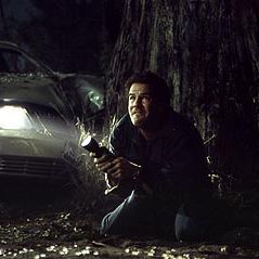 Foto No Cair da Noite