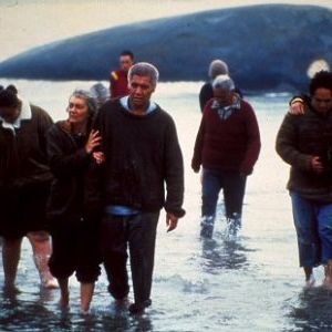 Foto Encantadora de Baleias