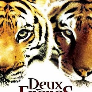 Foto Era Uma Vez Dois Irmãos