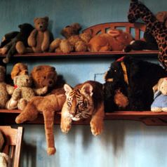 Foto Era Uma Vez Dois Irmãos