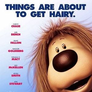 Foto Dogão - Amigo pra Cachorro