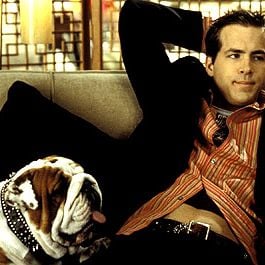 Foto O Dono da Festa