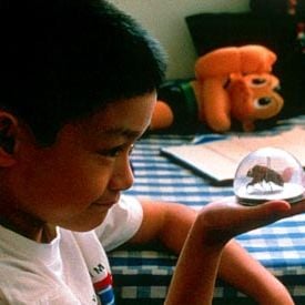 Foto As Coisas Simples da Vida