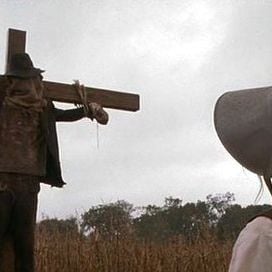 Foto A Casa dos Pássaros Mortos