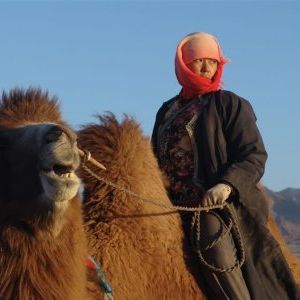 Foto O Casamento de Tuya