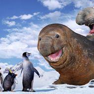 Foto Happy Feet - O Pinguim