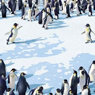 Foto Happy Feet - O Pinguim